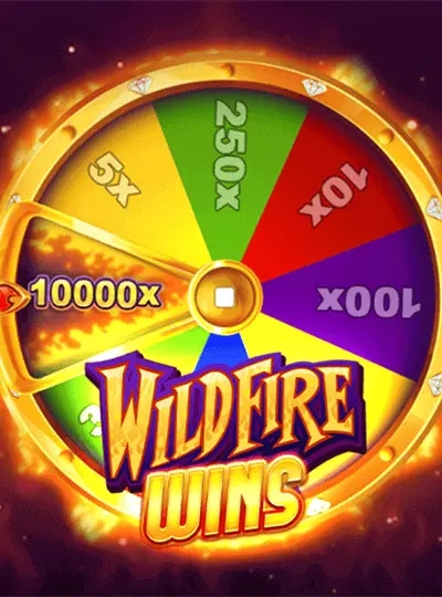 Video slot game cover